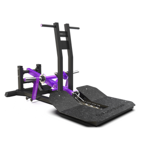 Belt Squat